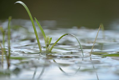 BUITEN BEELD Foto: 240439