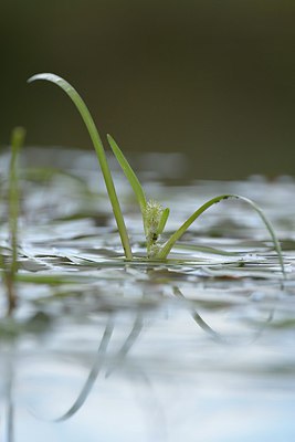 BUITEN BEELD Foto: 240440