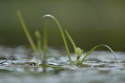 BUITEN BEELD Foto: 240441