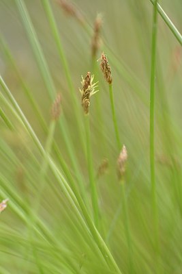 BUITEN BEELD Foto: 240448