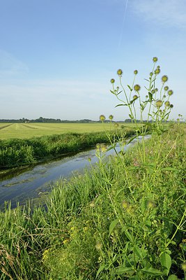 BUITEN BEELD Foto: 240475