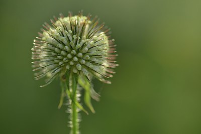 BUITEN BEELD Foto: 240499