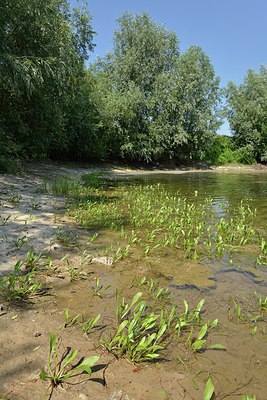 BUITEN BEELD Foto: 240528