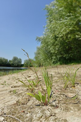 BUITEN BEELD Foto: 240532