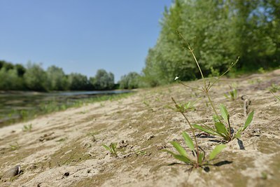 BUITEN BEELD Foto: 240534