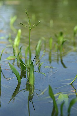 BUITEN BEELD Foto: 240540