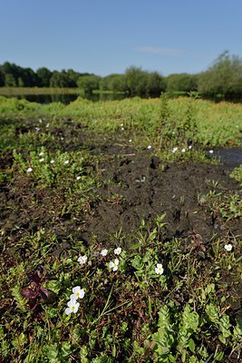 BUITEN BEELD Foto: 240564