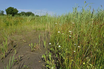 BUITEN BEELD Foto: 240567