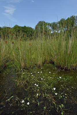 BUITEN BEELD Foto: 240575