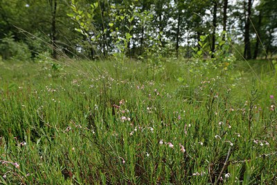BUITEN BEELD Foto: 240580