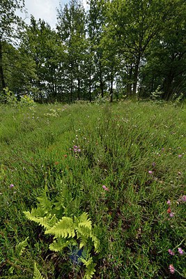 BUITEN BEELD Foto: 240581