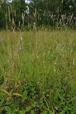 BUITEN BEELD Foto: 240582