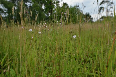 BUITEN BEELD Foto: 240585