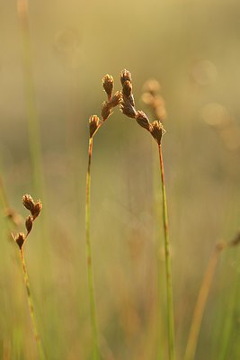 BUITEN BEELD Foto: 240587
