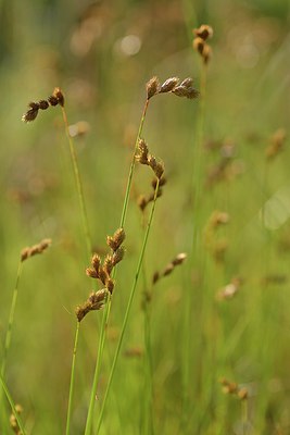 BUITEN BEELD Foto: 240602