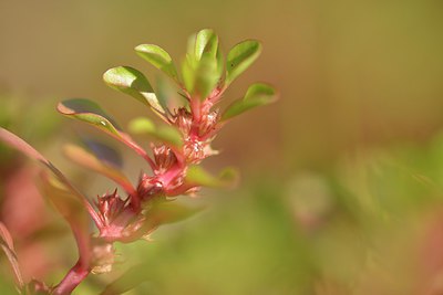 BUITEN BEELD Foto: 240605