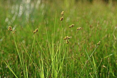 BUITEN BEELD Foto: 240606