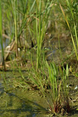 BUITEN BEELD Foto: 240616