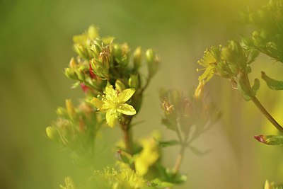 BUITEN BEELD Foto: 240617
