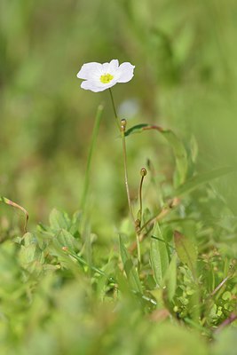 BUITEN BEELD Foto: 240620