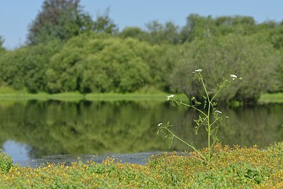 BUITEN BEELD Foto: 240628