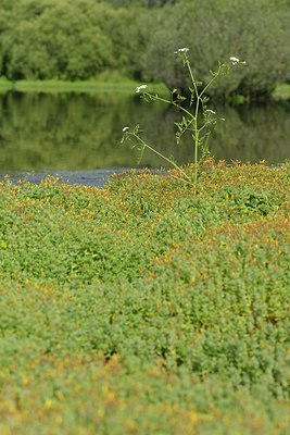 BUITEN BEELD Foto: 240629