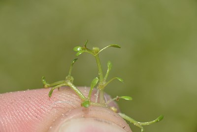 BUITEN BEELD Foto: 240634