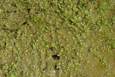 BUITEN BEELD Foto: 240636