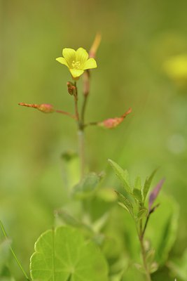 BUITEN BEELD Foto: 240649