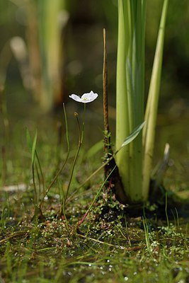 BUITEN BEELD Foto: 240676