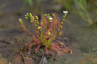 BUITEN BEELD Foto: 240683