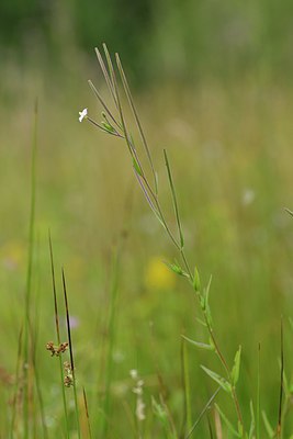 BUITEN BEELD Foto: 240698