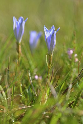 BUITEN BEELD Foto: 240751