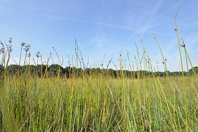 BUITEN BEELD Foto: 240757