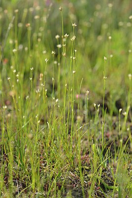 BUITEN BEELD Foto: 240766