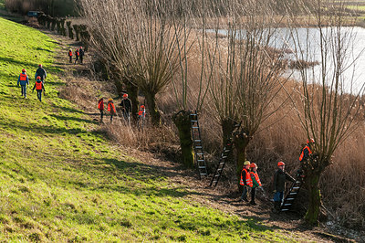 BUITEN BEELD Foto: 240788