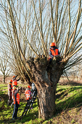 BUITEN BEELD Foto: 240790