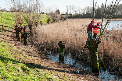 BUITEN BEELD Foto: 240794