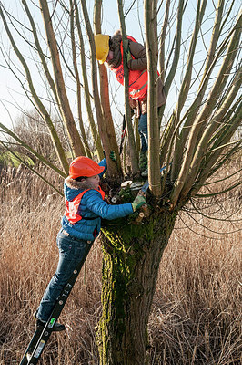 BUITEN BEELD Foto: 240795