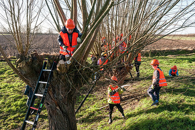 BUITEN BEELD Foto: 240796