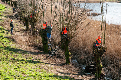 BUITEN BEELD Foto: 240797