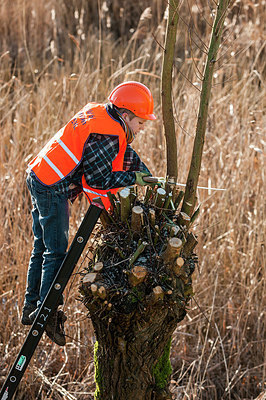 BUITEN BEELD Foto: 240799