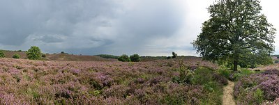 BUITEN BEELD Foto: 240822