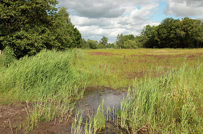 BUITEN BEELD Foto: 240824