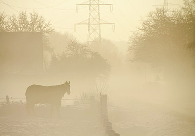 BUITEN BEELD Foto: 240833