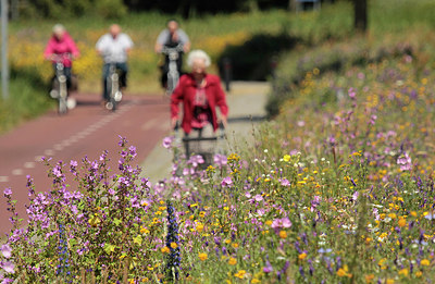 BUITEN BEELD Foto: 240854