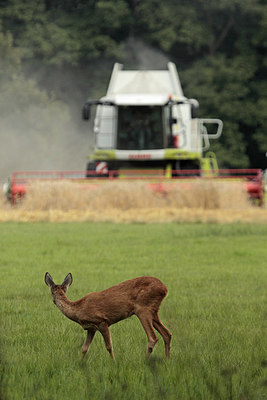 BUITEN BEELD Foto: 240863