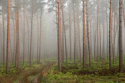 BUITEN BEELD Foto: 240865