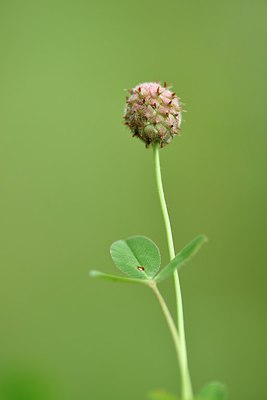 BUITEN BEELD Foto: 240921