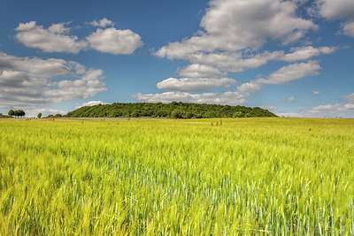 BUITEN BEELD Foto: 240930